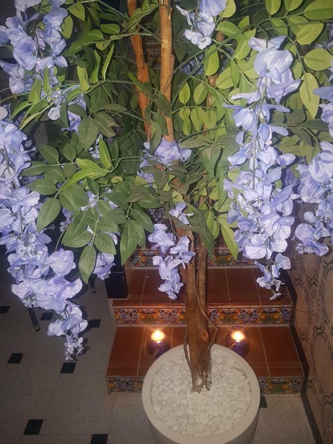 Big Apartment With Unique Patio Near Santa Barbara Castle アリカンテ エクステリア 写真